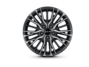 BD_PE_22MY_GE_LHD_17_inch_Alloy_Wheel